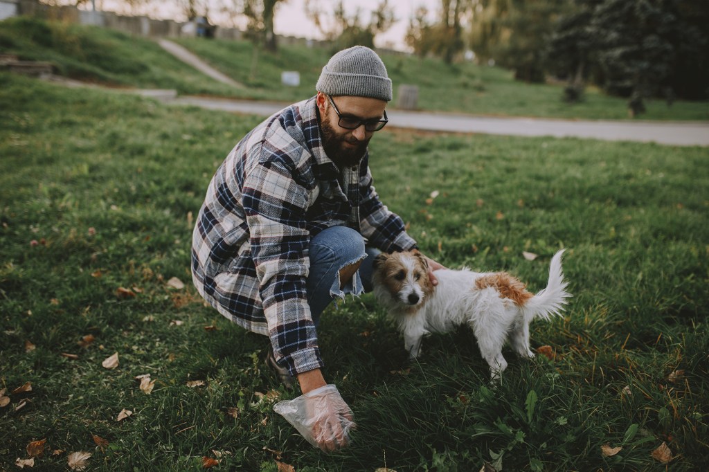 Worldwide, DNA pet testing to prevent public pooping is being implemented. 