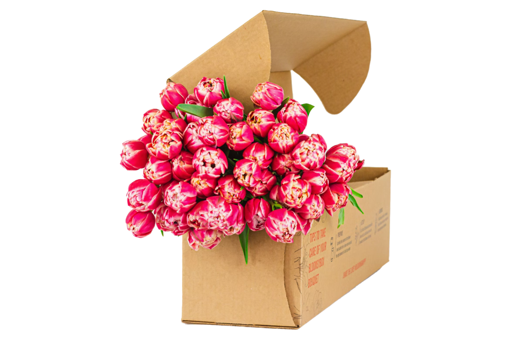 BloomsyBox Pink Peony Tulips