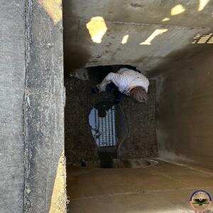 Migrants rescued from inside a storm drain in Laredo, Texas on January 23. A man is standing inside a drain.