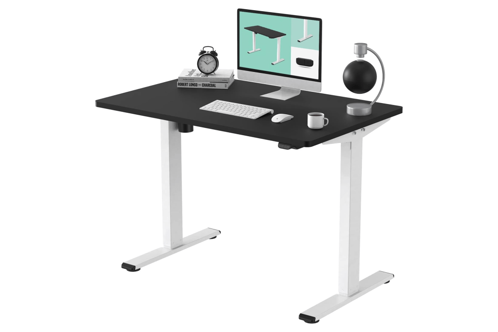 FLEXISPOT Electric Standing Desk