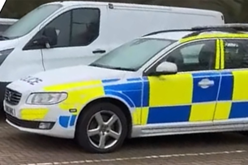 Crow Imitates Police Siren Thames Valley Police