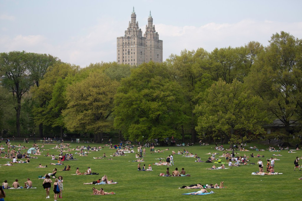 Central Park has seen a 350% rise in crime so far in 2024 compared to the same period a year earlier