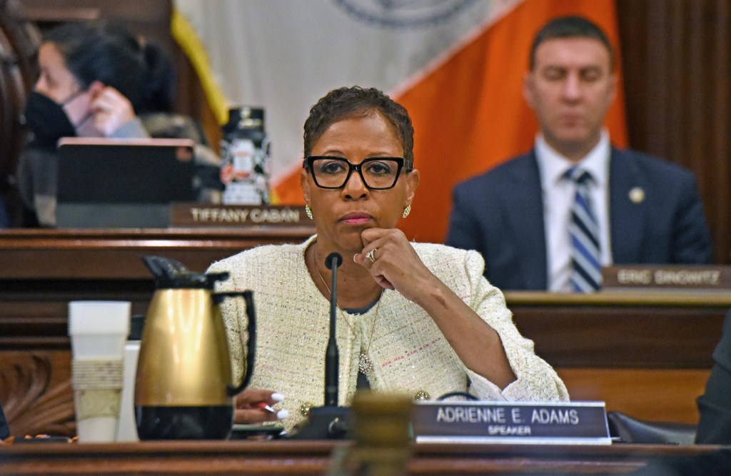 The NYC council held a hearing today on the future budget of NYC. 