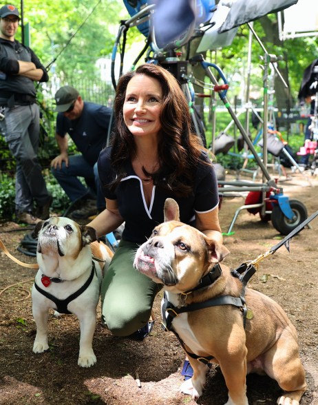 BULLYS FOR HER: Kristin Davis cozies up to her “And Just Like That” canine co-stars while filming in Central Park.