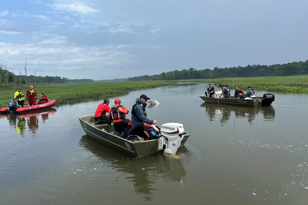 Group of animal welfare officials in a boat attempting to rescue a distressed dolphin in Skeeter Island Creek, Cape May County Courthouse, New Jersey