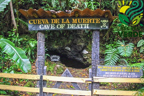 In Costa Rica, there is a cave void of oxygen that kills almost all that enters.