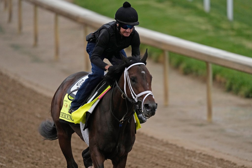 Fierceness is the favorite to win the Kentucky Derby.