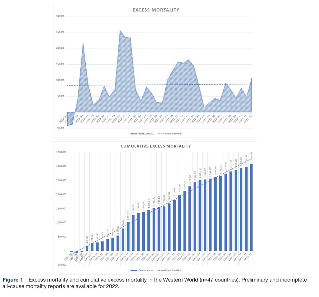 The study found there had been more than three million excess deaths across the US, Europe and Australia since the pandemic took told in 2020. 