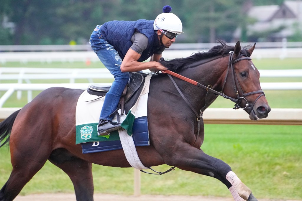  Belmont stakes contender Sierra Leone trains Thursday morning at the Oklahoma Training Track. 