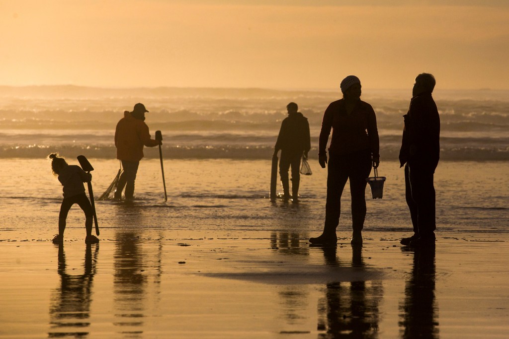 The shellfish from the Pacific Northwest may have high levels of paralytic shellfish poisoning.