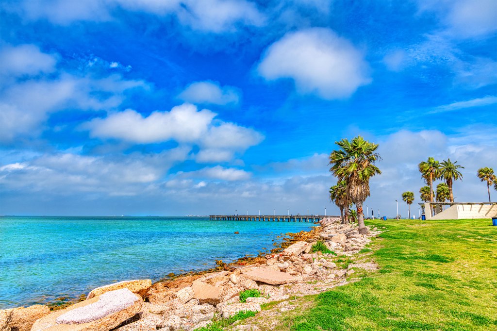 Bull shark swimming near a beach with palm trees, rocks and a pier