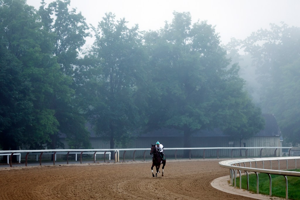 Resilience trains on the track during a morning workout prior to the 156th running of the Belmont Stakes at Saratoga Race Course on June 07, 2024 in Saratoga Springs, New York. The race was moved to Saratoga while Belmont Park undergoes renovations.