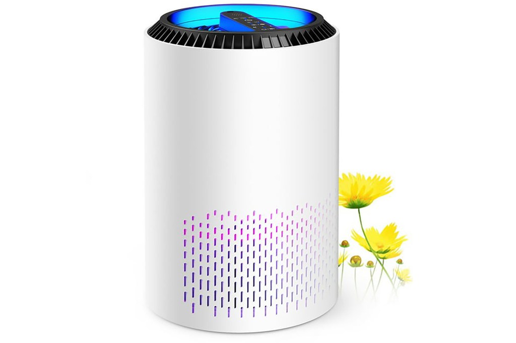 Air purifier