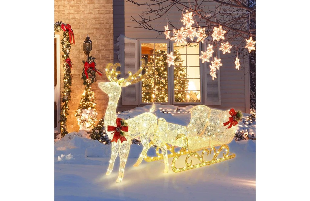 Christmas Lighted Reindeer & Santa's Sleigh Lighted Display
