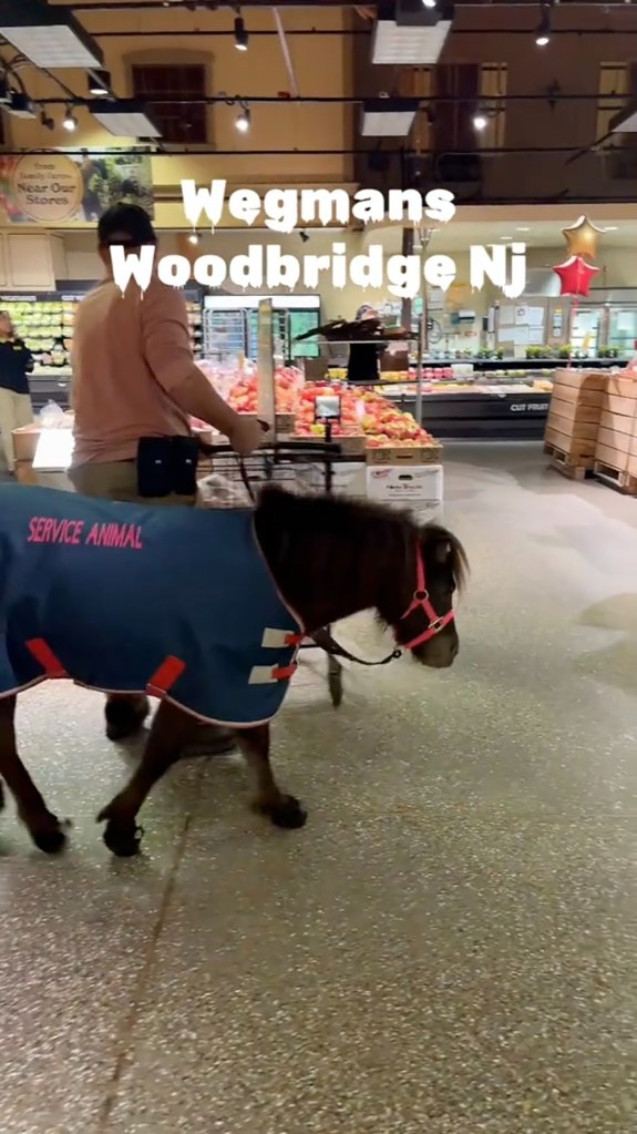 A screen shot of the man and horse shopping in Wegmans.