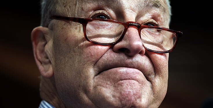 Trump Cancels $45M Green Energy Grant That Chuck Schumer Secured for His Donors