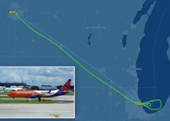 Plane forced to land after wacko wearing '15 masks' screams that gay people were giving him cancer