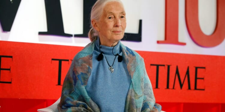 Jane Goodall wanted to send Trump, Xi, other people she didn't like into space