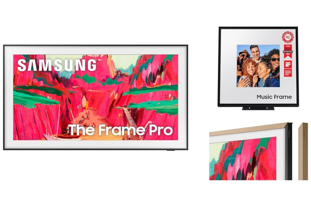 Samsung The Frame Pro TV showcasing artwork and photo display options.