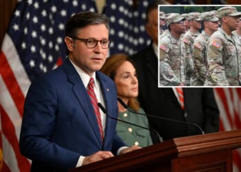 House Speaker Mike Johnson rejects standalone bill to pay US troops, adds feds 'should' get back pay as shutdown drags on