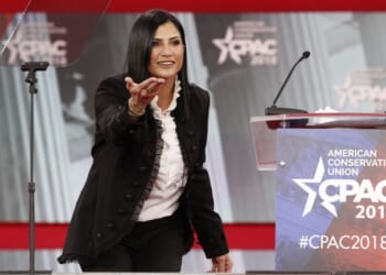 Dana Loesch Can't Help But Notice That Zohran Mamdani's Calls for Gun Bans Don't Include EVERYBODY – Twitchy