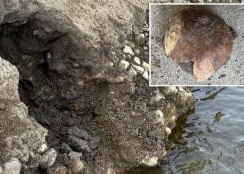 Skull fragment found by Whitewater River is 4,200 years old