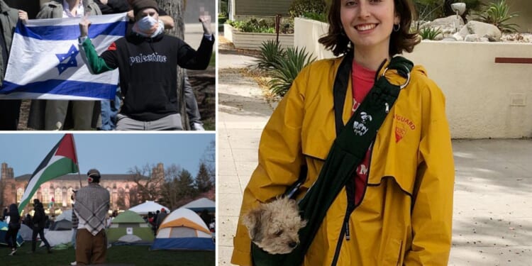 Students sue over Northwestern's antisemitism training