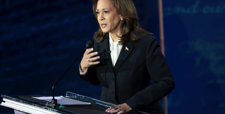 Dem Megadonors Snub Kamala-Headlined DNC Fundraiser, With One Sending 'Profanity-Laced Rejection'