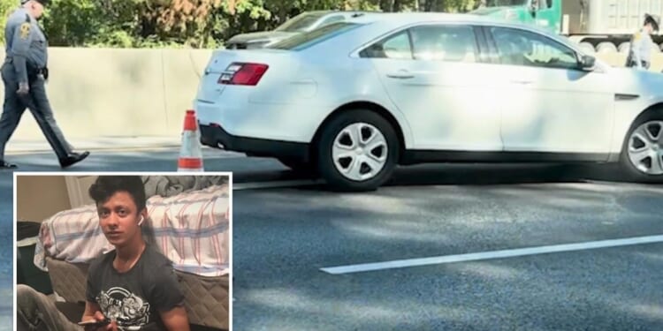 Man fleeing immigration agents is fatally struck by a vehicle on a Virginia highway