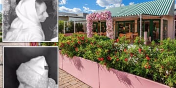 ‘Modern-day Bonnie and Clyde’ caught on camera having sex at popular Arizona eatery before robbing the joint