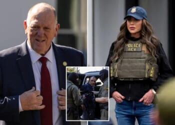 ICE leadership shakeup exposes growing DHS friction over deportation tactics, priorities