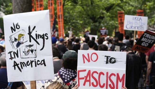 Dem Strategist Julie Roginsky Says If Violence Breaks Out at ‘No Kings’ Rallies It Will Be Trump’s Fault – Twitchy