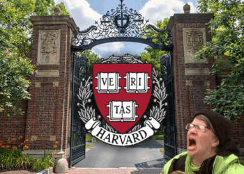 Harvard Students Distraught as School Says It Gives Out Too Many As