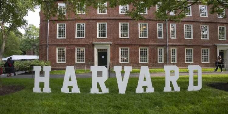 Harvard Taps Drag Queen ‘LaWhore Vagistan’ As Visiting Gender Studies Professor