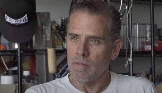 Hunter Biden Whines Over Kamala’s Tell-All, Spills Tea on Her Diversity Hire VP Gig – Twitchy