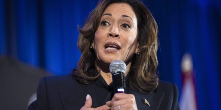 Kamala Harris says 'guardrails' on Trump 'have failed'