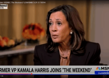 On Eve of Hostage Release, Kamala Harris Accuses Israel of Genocide