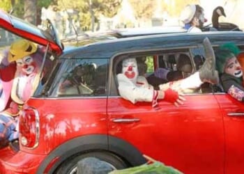 NY Mag’s Leftie Leaders Who’ll Make Sea Lions and Sanity Extinct – Twitchy