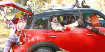 NY Mag’s Leftie Leaders Who’ll Make Sea Lions and Sanity Extinct – Twitchy