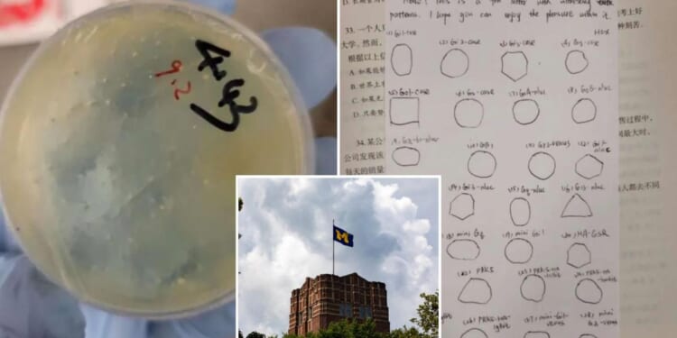 3 Chinese researchers at University of Michigan charged over alleged effort to smuggle biological materials