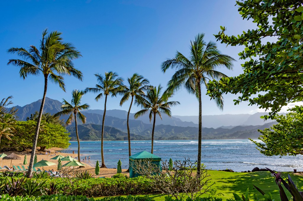 Beach at Hanalei Bay, Princeville, Kauai, Hawaii, with palm trees, the Pacific Ocean, and the Na Pali coast mountains in the background.