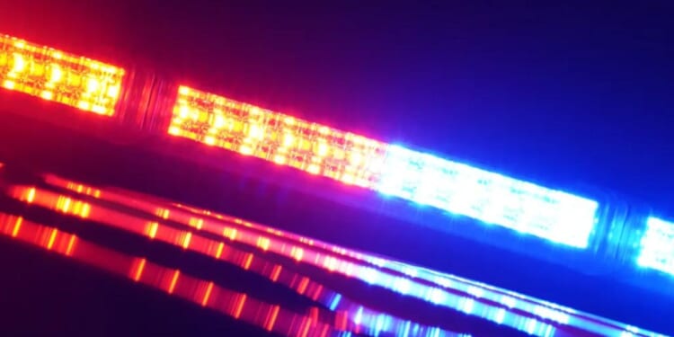 Staten Island woman run over by 19-year-old after heated dispute: cops