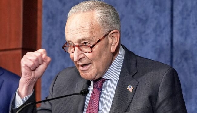 ‘Stunned’ Chuck Schumer Feigns Outrage After Dems Side With Republicans (WATCH) – Twitchy