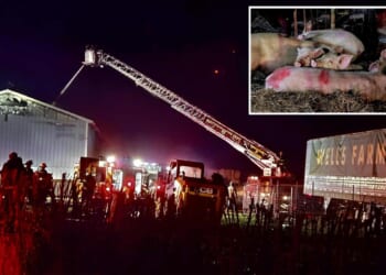 Devastating blaze rips through historic Long Island farm