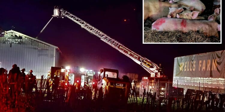 Devastating blaze rips through historic Long Island farm