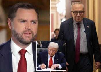 Vance faults Dems for previously rejecting 'exact deal' that reopened the government