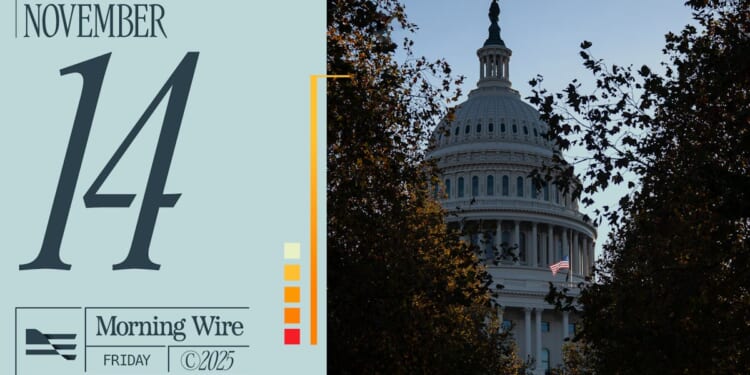 Obamacare Battle Brews, Hollywood Slump, & D.C.’s DEI Rackets