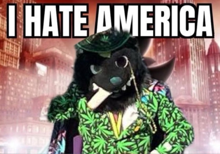 'Furry' Who Celebrated Charlie Kirk Assassination and Said US 'Deserved 9/11' Running for Congress in Michigan