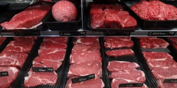 We Feed Dead People ... SNAP Fraud Scandal Unveils Systemic Corruption and a Total Need for Reform – Twitchy