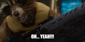 Raccoon Goes on Bender at Virginia Liquor Store and Is Found Passed Out in the Restroom – Twitchy